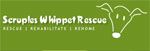 Scruples Whippet Rescue